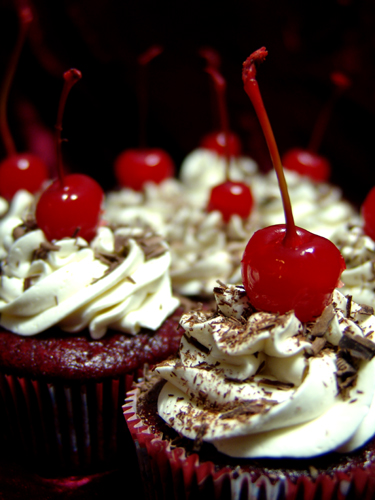 Crimson Velveteen Cupcake